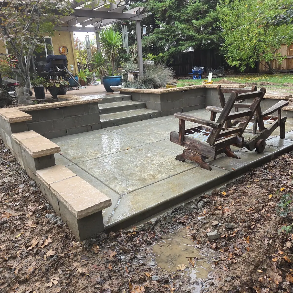 Stone steps stepping down to a patio in a mature Sacramento garden