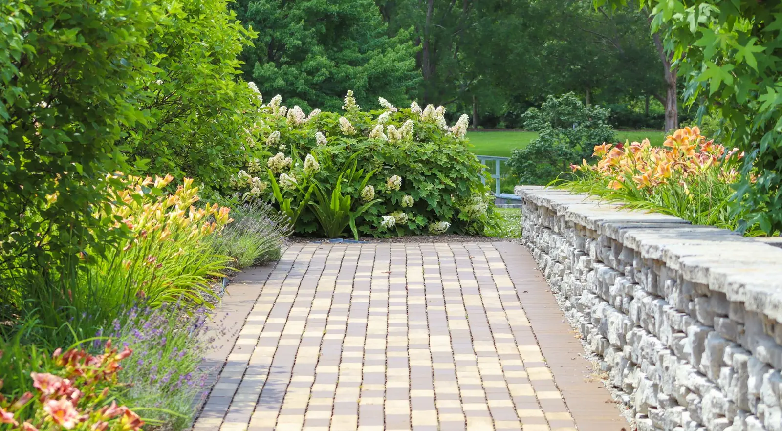 A paver path running between planting and a low stone wall